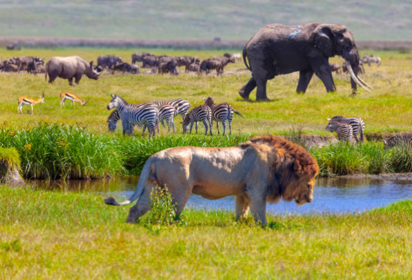 7 Days Ultimate Kenya